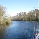 2c Dismal Swamp